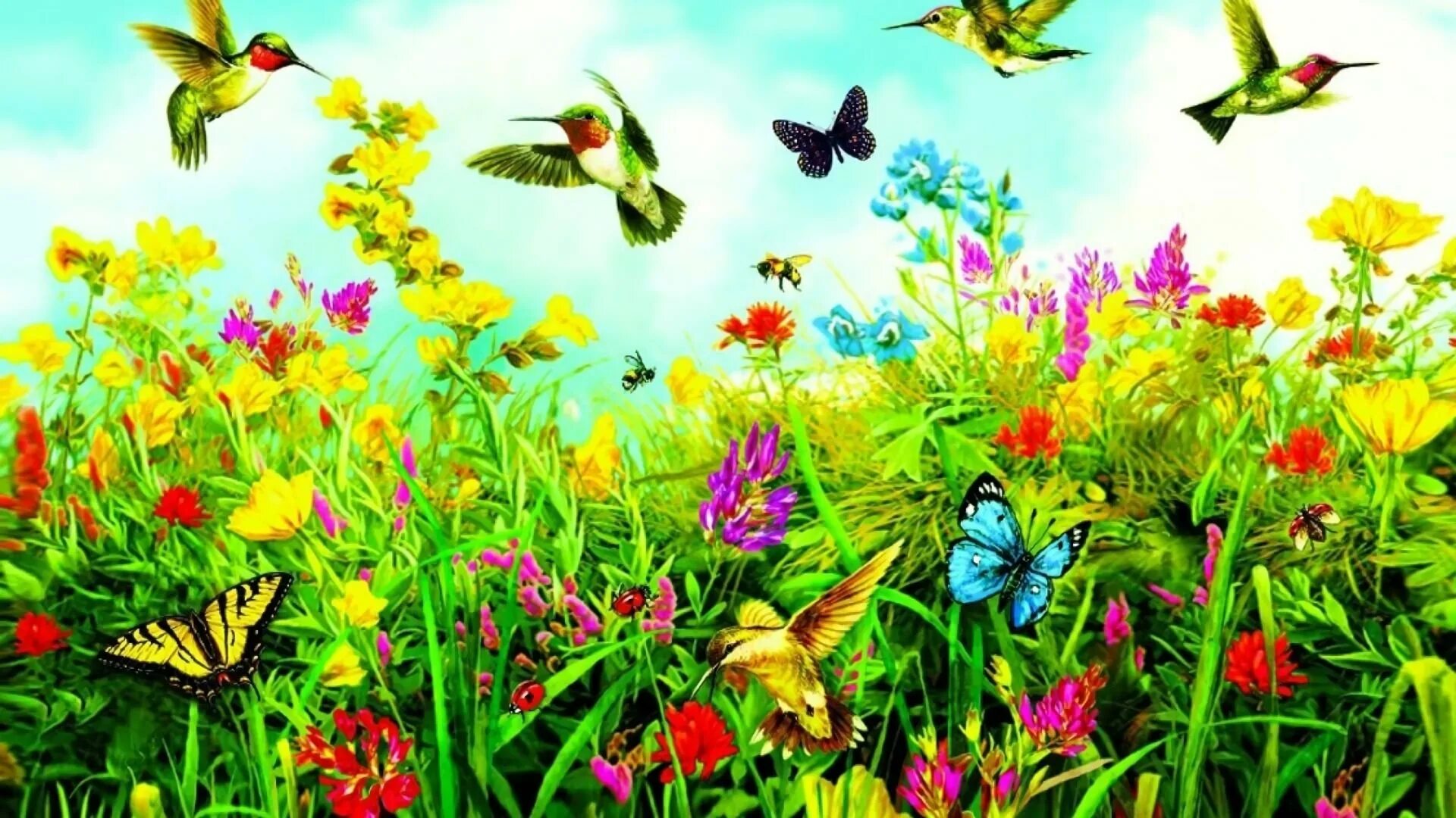 Лето бабочки. Лужайка с бабочками. Поляна с цветами и бабочками. Бабочки на лугу.