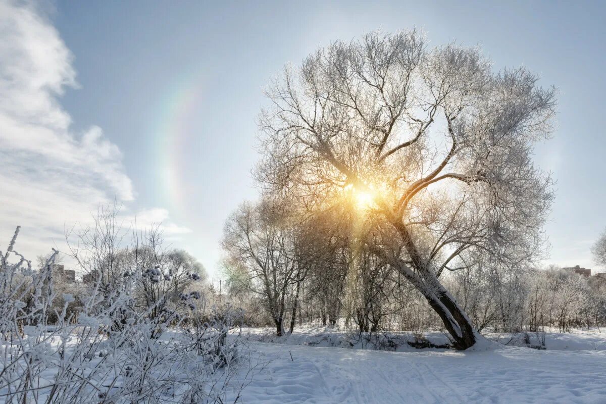 Февраль природа. Февраль конец зимы. Февральская природа. Солнечный февральский день.