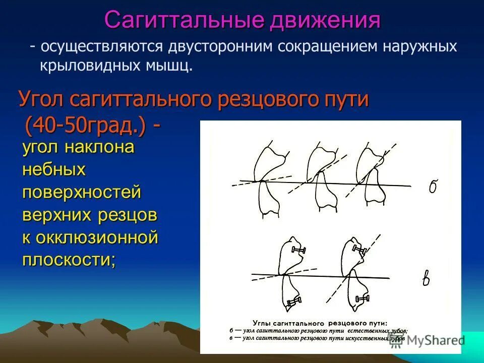 Угол путь. Биомеханика сагиттальных движений нижней челюсти. сагиттальные движения нижней челюсти. угол сагиттального резцового пути. сагиттальный суставной и резцовый пути.