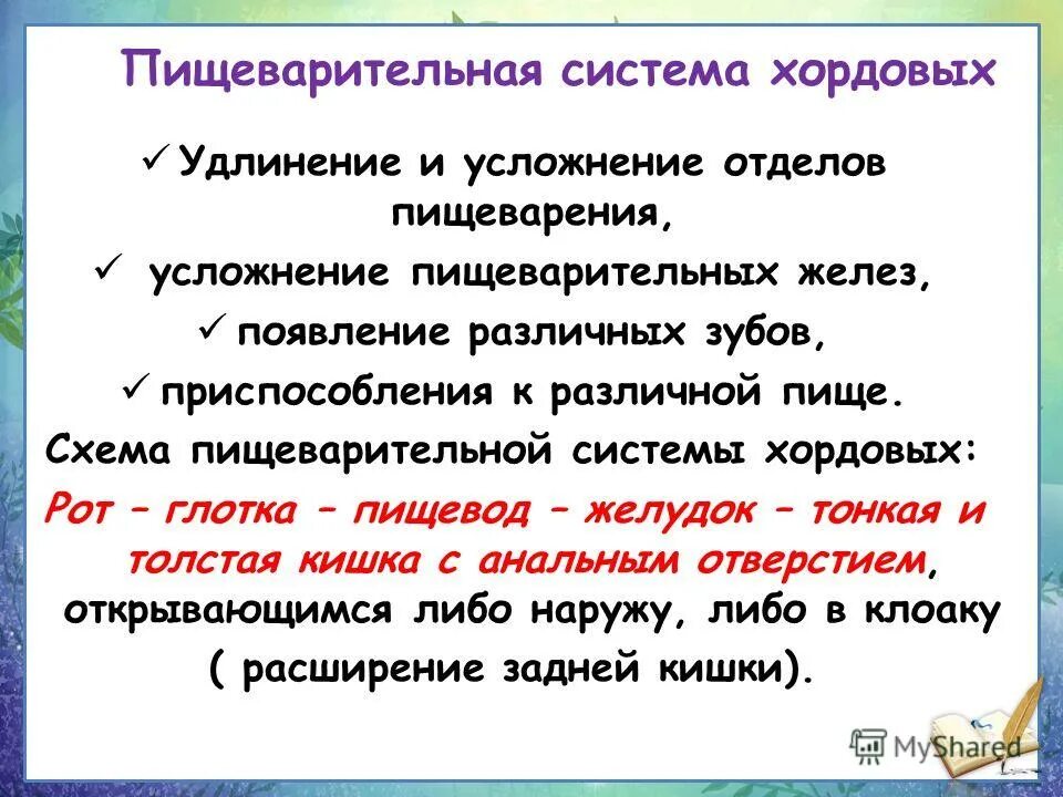Усложнение синоним. Слова с усложнением. Прогрессивные черты членистоногих. Значение ознакомления дошкольников с величиной презентация. Доминанта синонимического ряда.