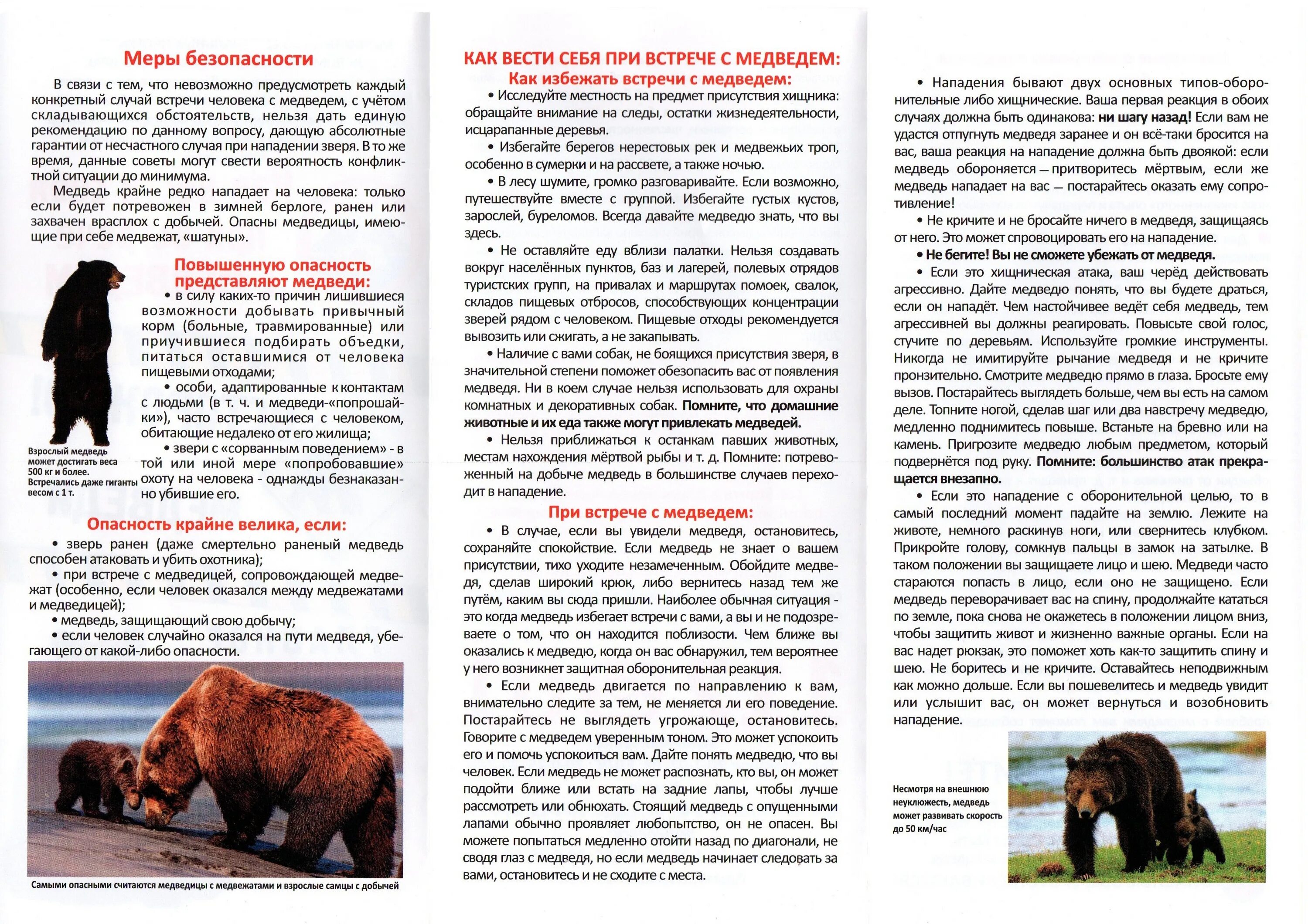 что делать при в с речи с медведем. что делать если встретил медведя. как избежать встречу с медведем. как избежать встречу с медведем. прп встрече с медведем.