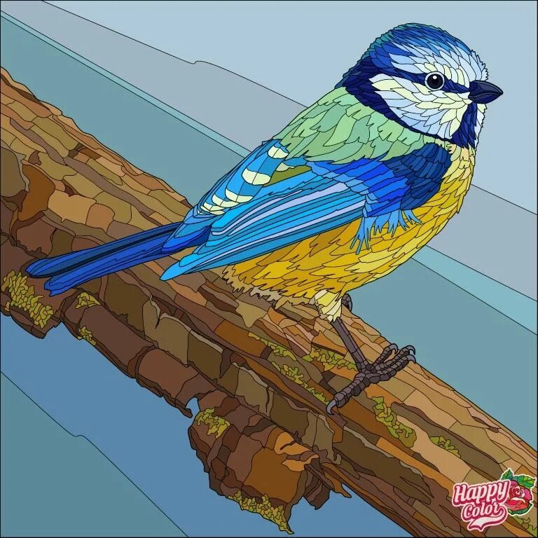 Трафарет синички для рисования. Птицы фломастерами. Как разукрасить птичку. Разукрасить птицу. Раскрашенные птички нарисованные.