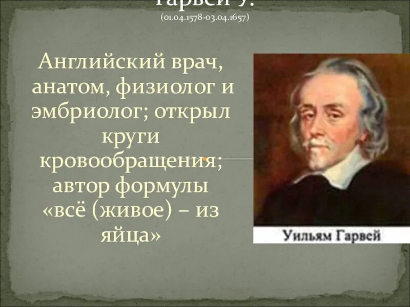 Великие анатомы и физиологи. Ученые анатомы и их открытия. Ученые анатомах и физиологах. Великие ученые анатомы.