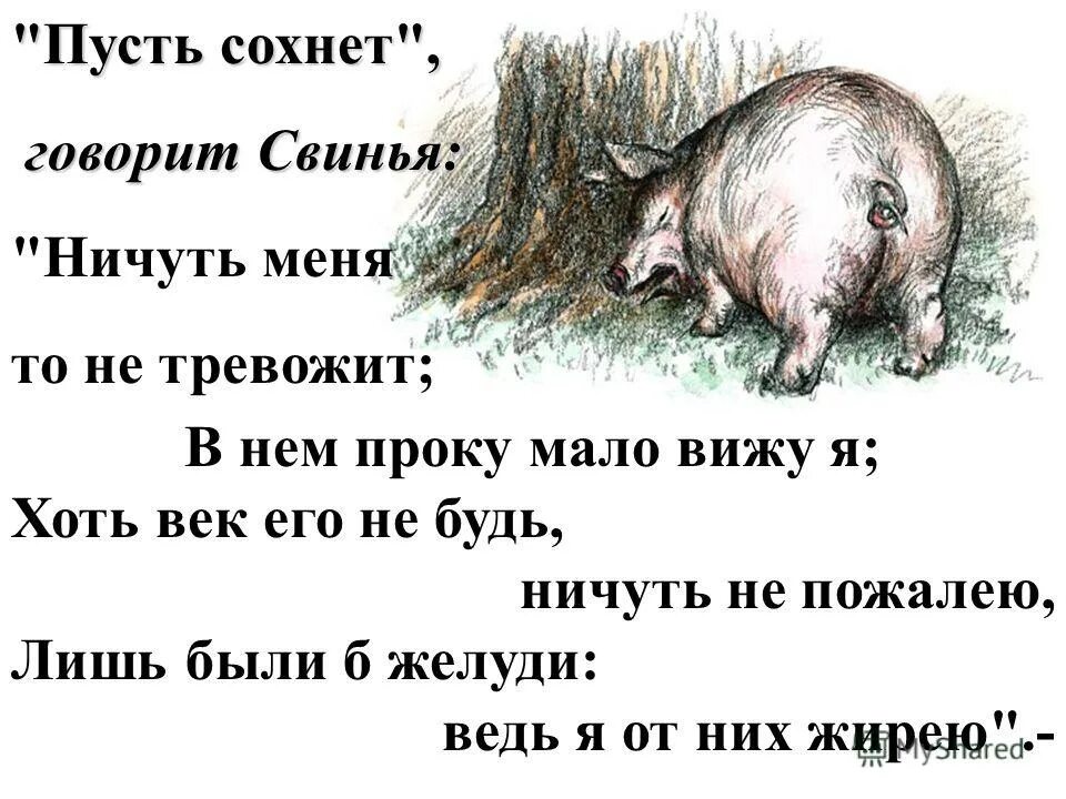 Свинка говорит. Пусть сохнет -говорит свинья. Текст басни свинья под дубом Крылов. Свинья и дуб басня. Свинья под дубом.