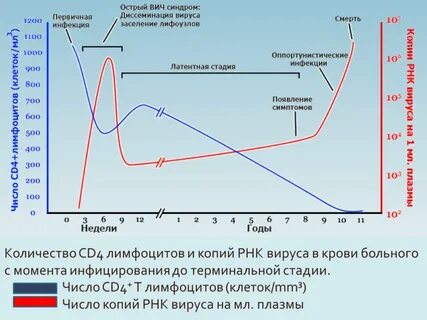 Мало клеток при вич