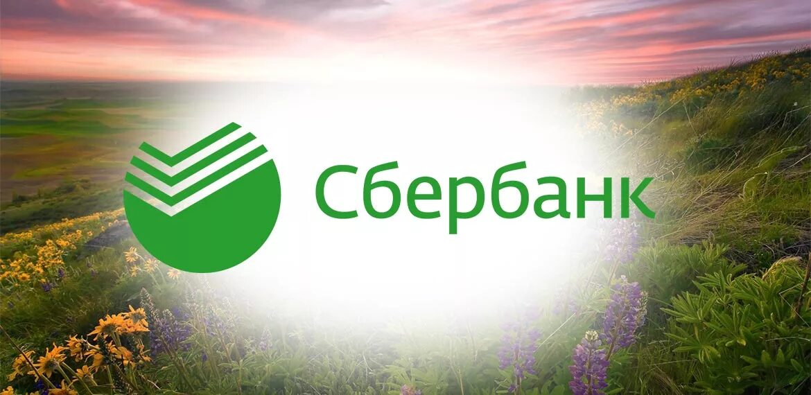 Сбер лист. Сбербанк экология. сбер презентация. сбербанк картинки для презентации. экосистема сбер логотип.