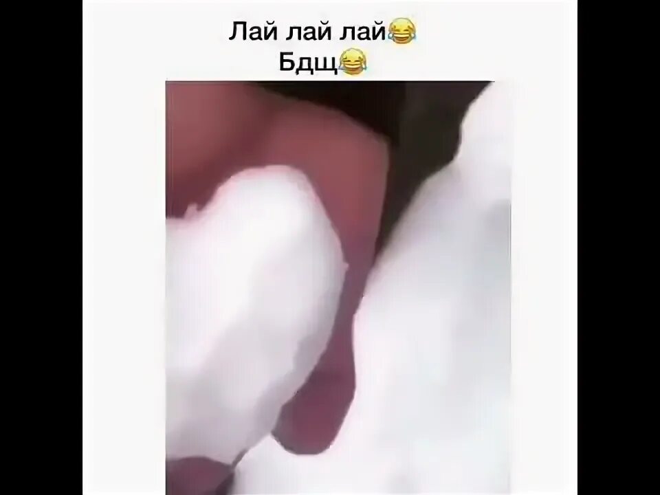 Пи лай лай лай. Лай лай. ди лай лай лай лай. лебединский лай лай. байди лай лай.