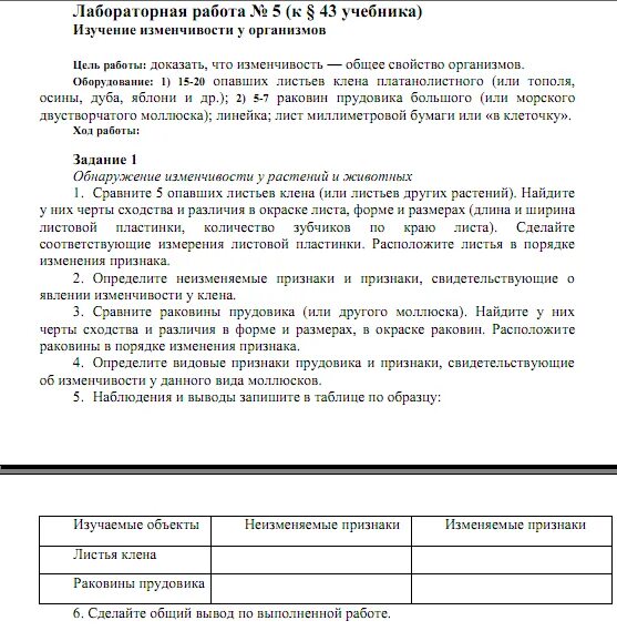 Лабораторная работа по теме изучение. Лабораторная работа по теме изучение