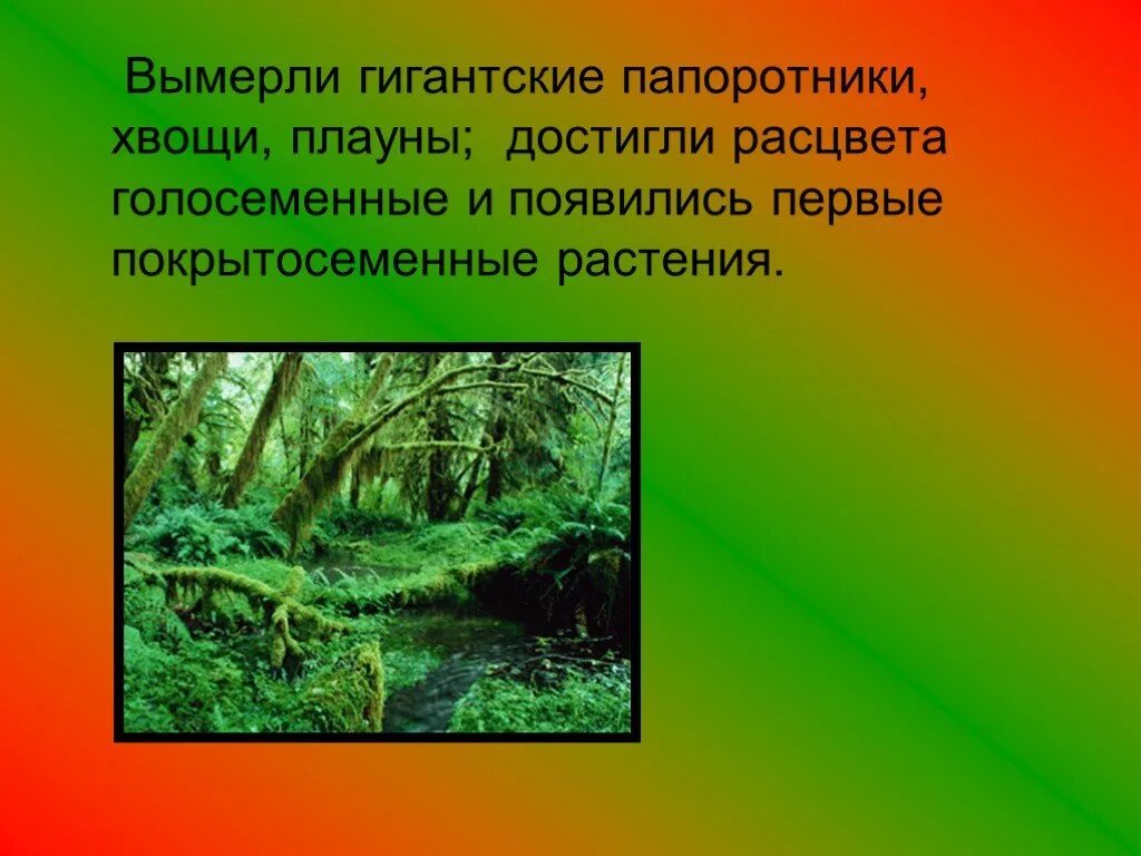 Значение древних вымерших папоротниковидных в природе. Мезозойская Эра Расцвет голосеменных растений. Древовидные папоротники вымершие. Вымершие Папоротникообразные. Гигантские папоротники вымерли.