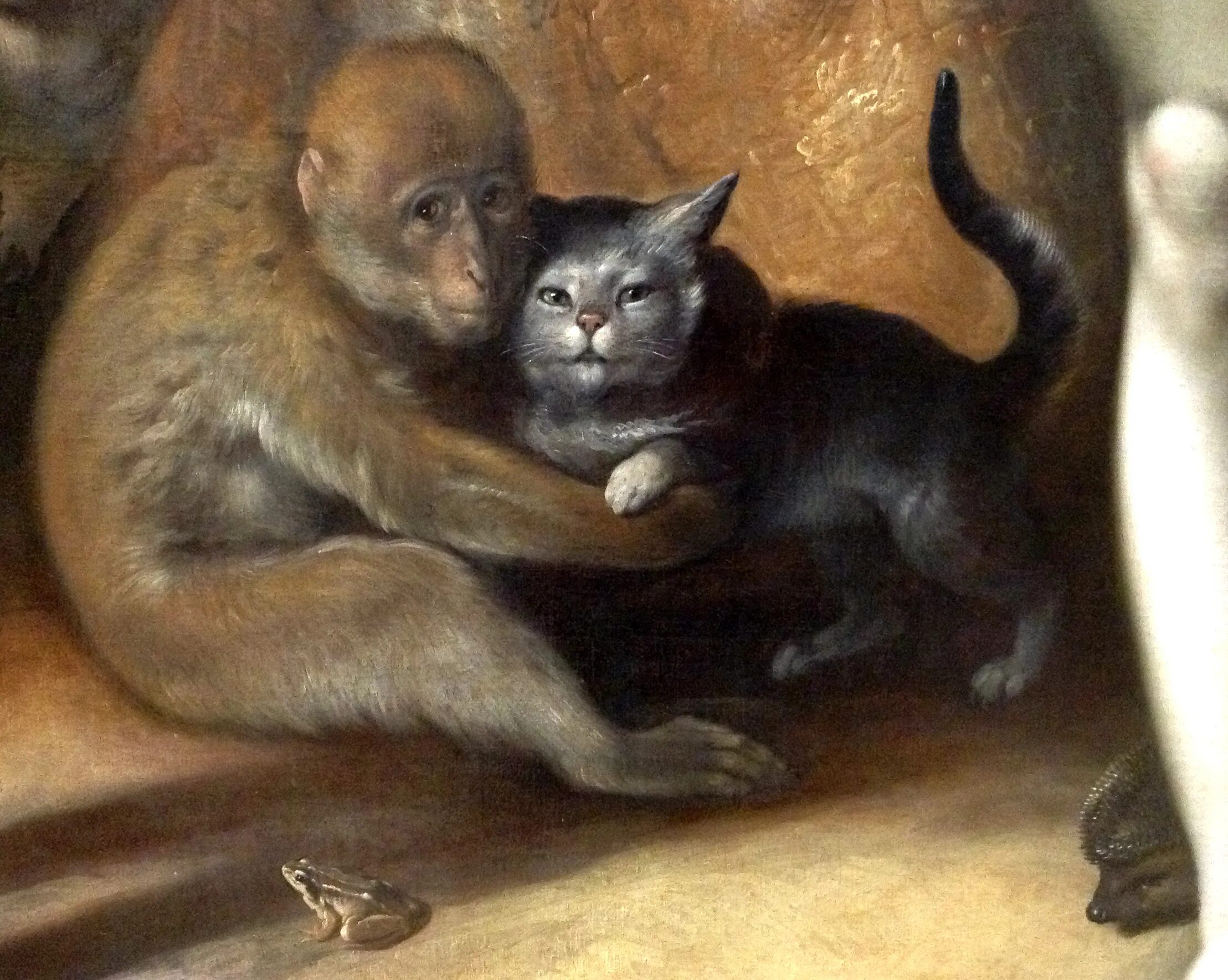 Коте обезьянка. Корнелис Ван Харлем грехопадение. Грехопадение 1592 Корнелис Ван. Корнелис Ван Харлем картины. Грехопадение картина 1592.