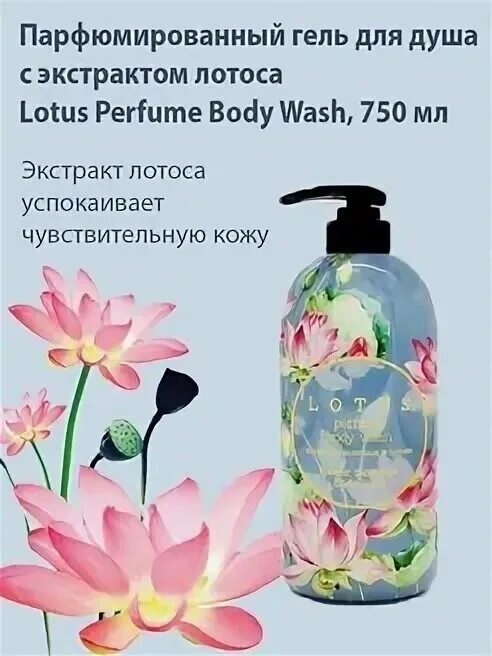 Гель для душа лотос. Jigott Lotus Perfume body Wash парфюмированный гель для душа с Лотусом 750мл. Гель для душа Fax 750 мл Лотос. Jigott гель для душа с экстрактом. Лосьон для тела с экстрактом лотоса 500 мл Jigott Lotus Perfume body Wash.