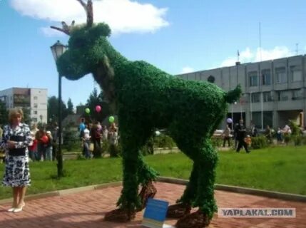 День кировска ленинградской