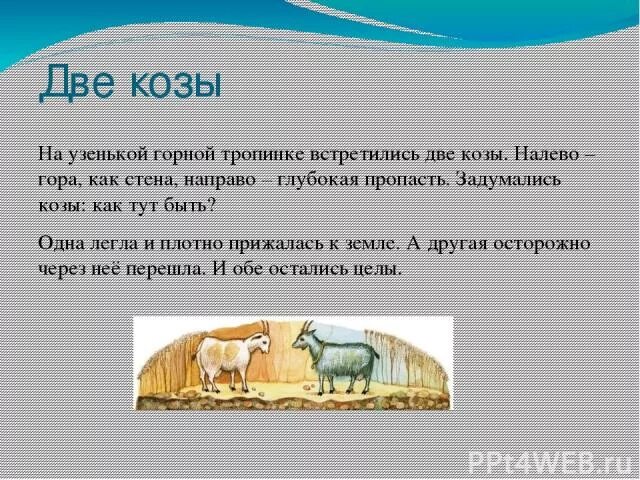 текст две козы. два козла на мостике. две козы басня. рассказ одомагних животных. упрямые козы.
