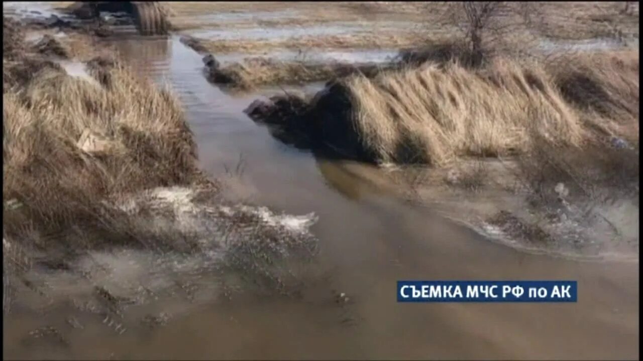 Обь наводнение. Уровень воды в Камне на Оби. Уровень воды в Оби в Колпашево. Горный Алтай наводнение.