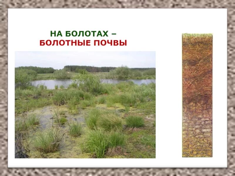 Проект про почву 4 класс Что такое почва видео фото