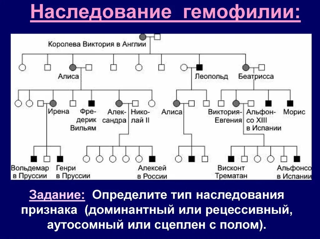 Гемофилия Тип наследования схема. Гемофилия генетика Тип наследования. Определите Тип наследования. Генетическое дерево. Генотип волнистых волос