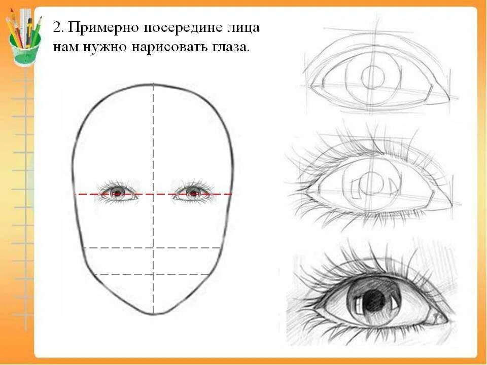 Как правильно рисовать лицо карандашом поэтапно. Рисование лиц для начинающих. этапы рисования лица. рисунок лица пошагово. схема рисования лицо карандашом.