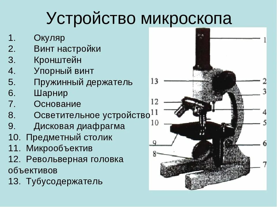 Состав цифрового микроскопа. Строение микроскопа макровинт. Биология 5 кл строение микроскопа. Строение микроскопа 9 класс биология. Устройство микроскопа цифровой микроскоп 5 класс биология.