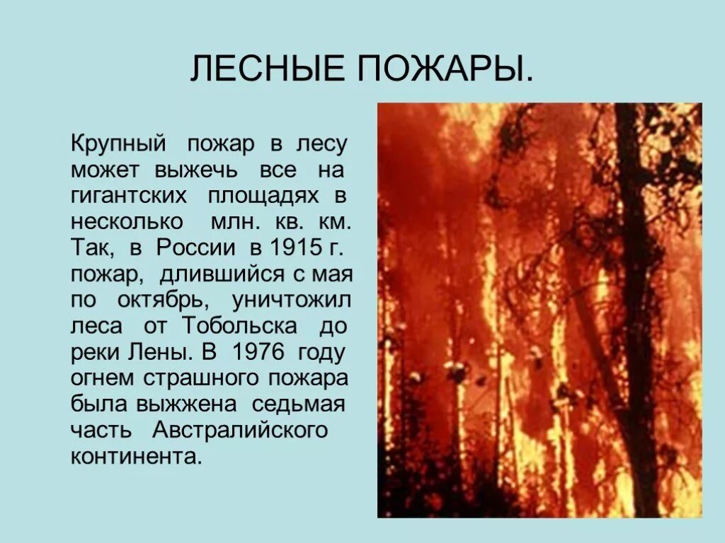 Сообщение на тему Лесные пожары. Сообщение о лесных пожарах. Пожар для презентации. Доклад на тему пожар в лесу.