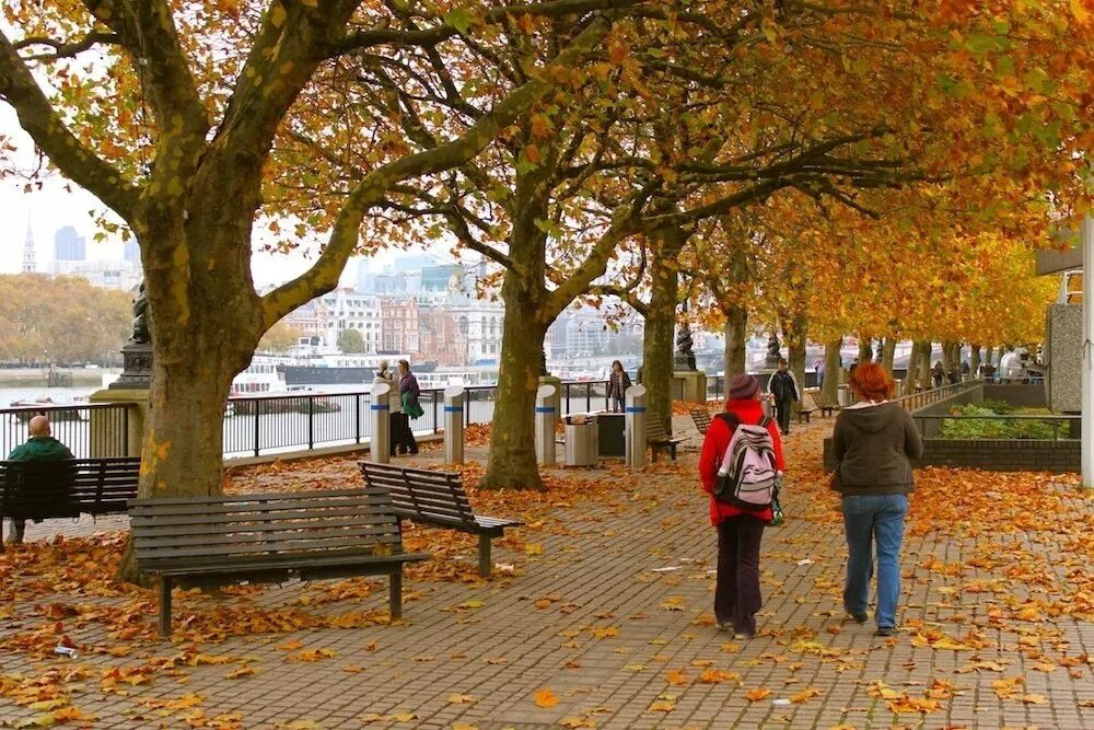 Темза осень. Осень в англии. Осень осень англия лондон великобритания. Октябрь в великобритании. Октябрь в великобритании.