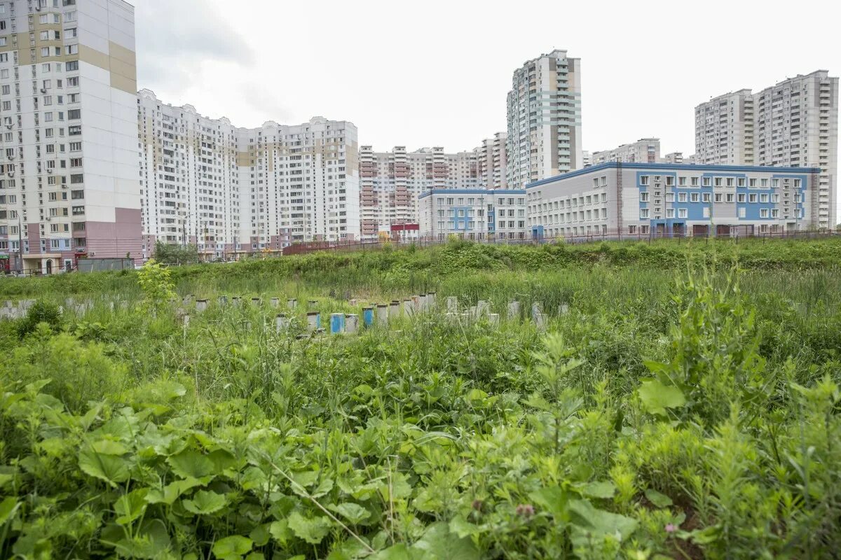 Новости трехгорка. Трёхгорка (посёлок). Парк Трехгорка. Трёхгорка Одинцовский район. Новая Трехгорка.