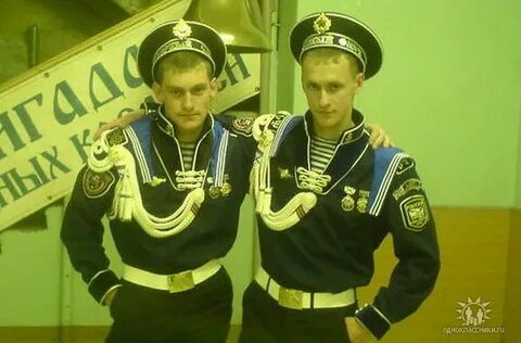 Дембель впрягся за борзого
