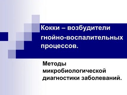 Кокки возбудители
