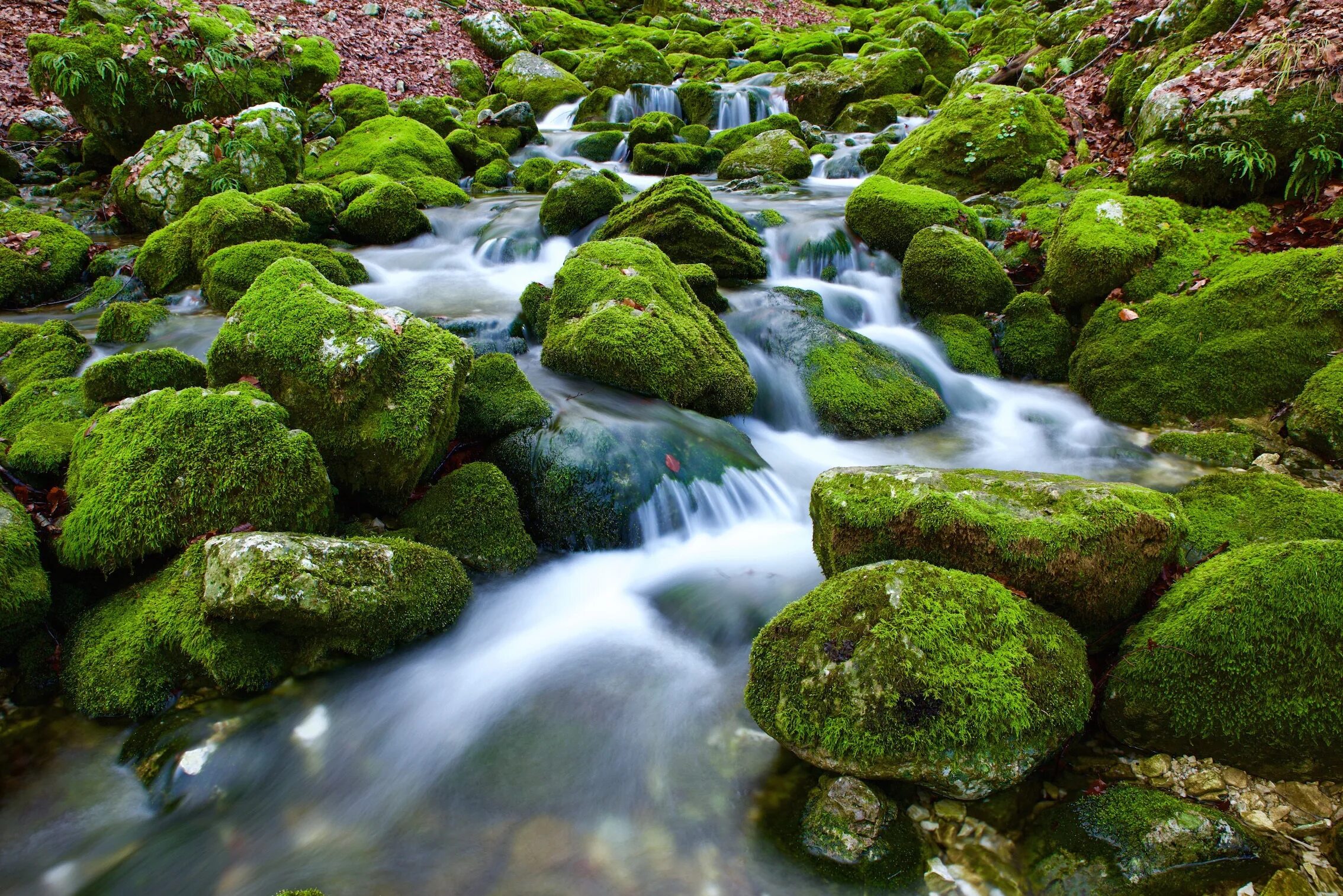 Unique source. Природная вода. Источник воды. Природные источники воды. Природный Родник воды.