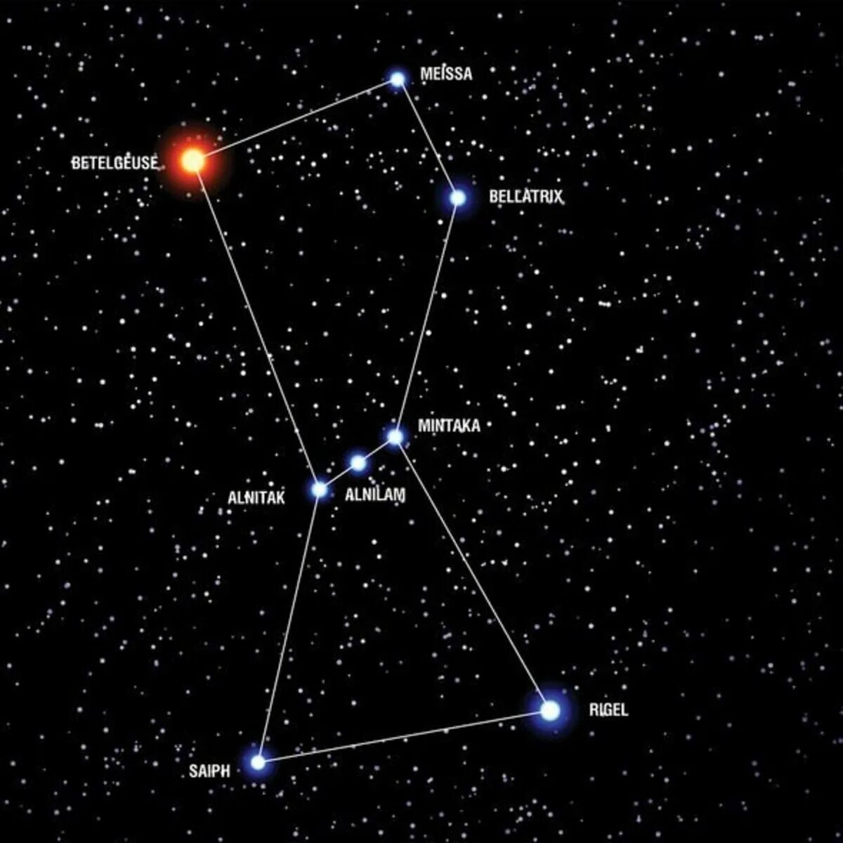 Созвездие Ореон Бетельгейзе. Пояс Ориона Созвездие Бетельгейзе. Созвездие Орион Бетельгейзе ригель. Бетельгейзе звезда в созвездии.