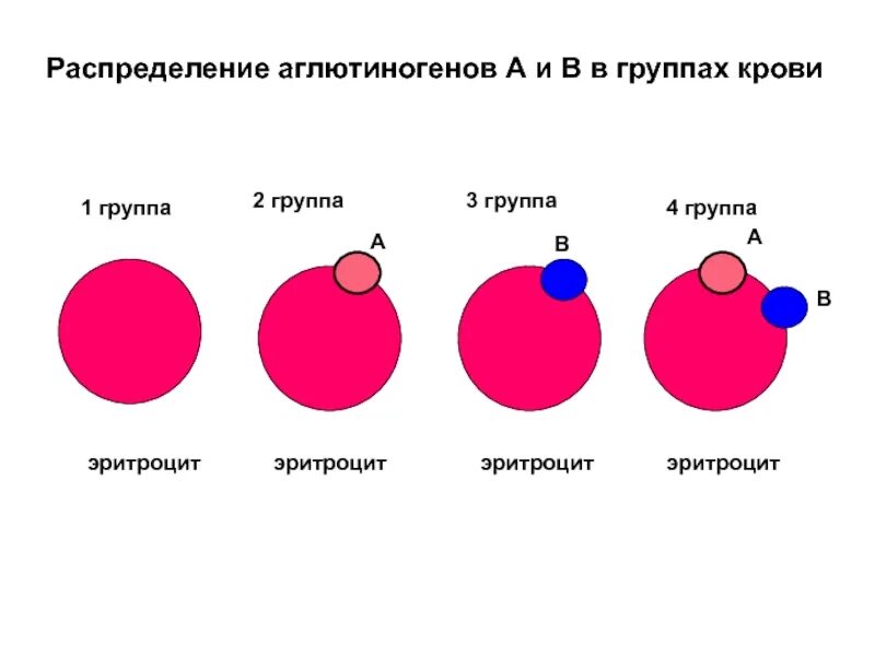 Особенности резуса крови. 3 Группы резус фактора. Группа крови. Группа крови по резус фактору. Группы крови и резус-фактор таблица.