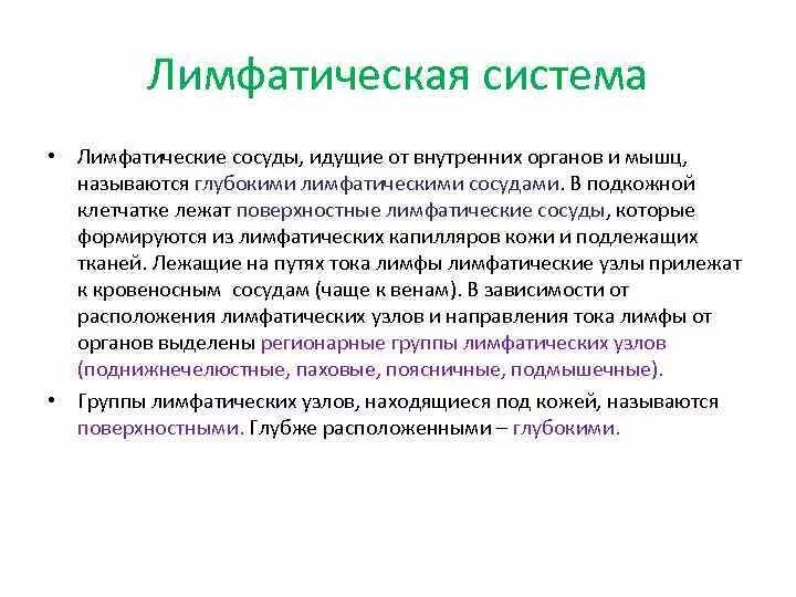 Глубокий лимфатический сосуд. Лимфатическая система кожи. Лимфатическая система подкожной клетчатки. Лимфа выходит из кожи. Что идёт после лимфатических капилляров.