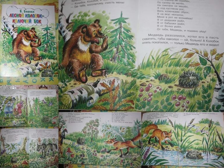 Сказка бианки колобок. Колобок колючий бок в бианки. лесной колобок колючий бок бианки. бианки лесной колобок колючий бок читать. сказка лесной колобок колючий бок бианки книга.