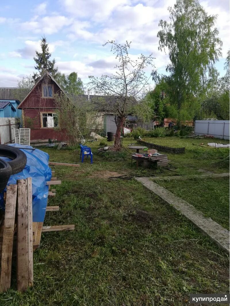 Снт горы ленинградская область. Погода в снт лена. Погода в снт лена. Дача в рязановке снт озёрное. Погода в снт лена.