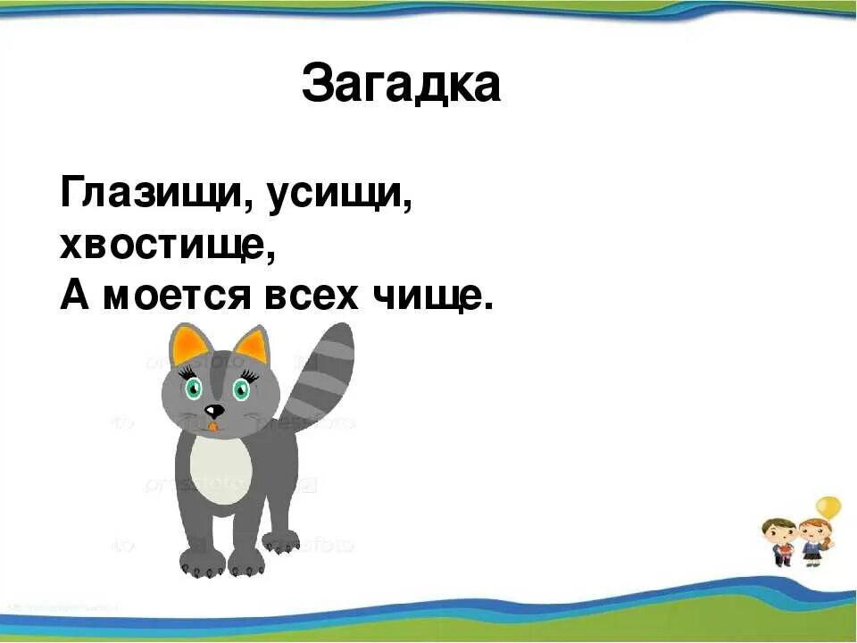 Загадка. Загадка про кота. Загадки про котиков. Загадка про котенка.