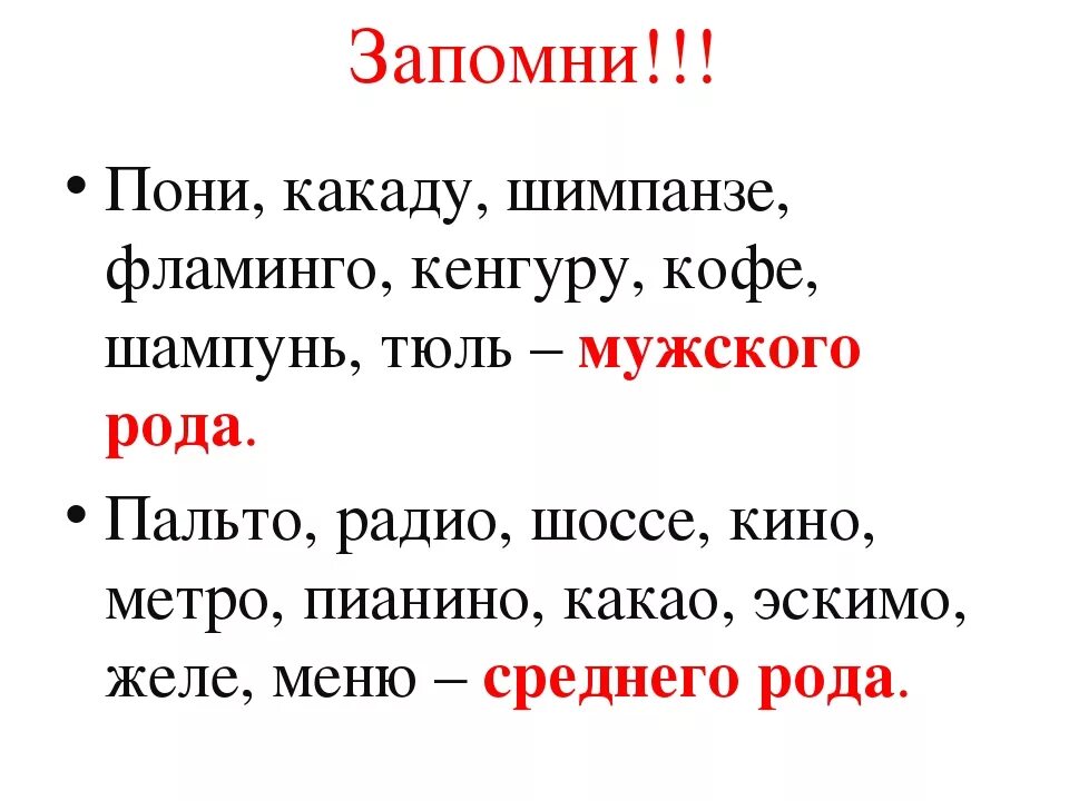 Определите род существительных какаду. Шимпанзе какой род существительного. Кенгуру какого рода существительное. Кенгуру род слова. Кенгуру какого рода в русском.