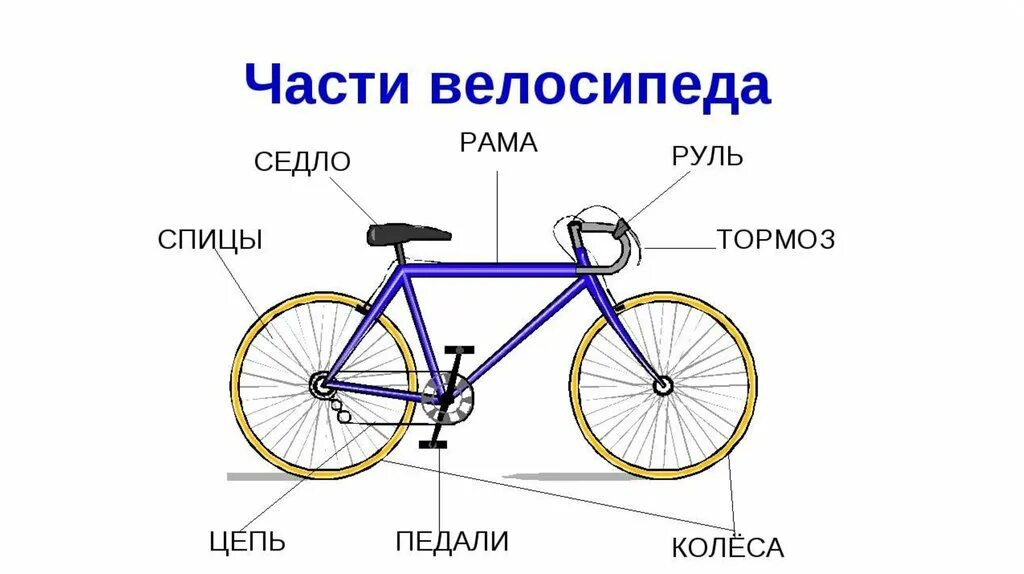 Из чего состоит 5 6