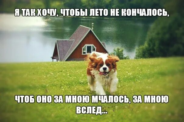 Чтоб жизнь не кончалась. Так хочется лето. чтобы лето не кончалось. я хочу лето. я хочу чтобы лето не кончалось.