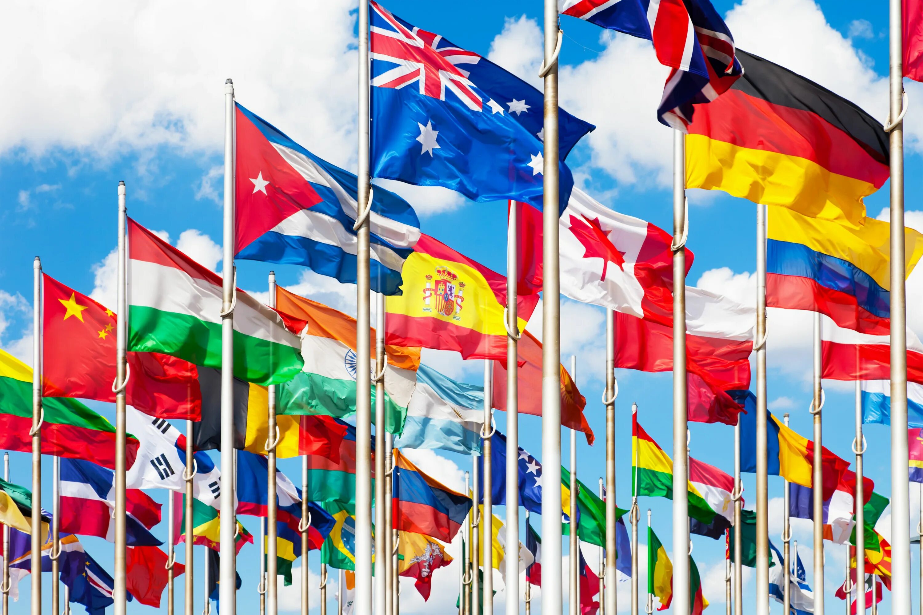 Группы современных государств. Флаг ООН. Международные отношения.
