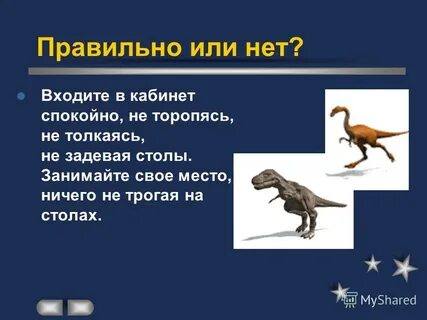 Что из этого не входит в