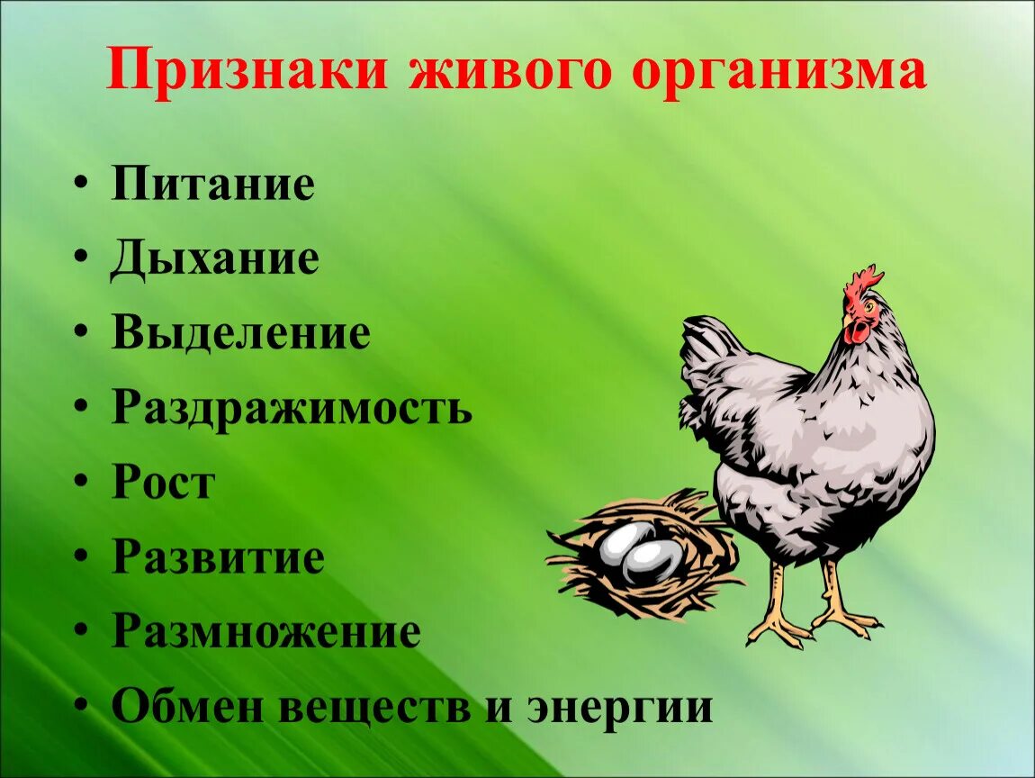 Свойство живого 6 класс. Признаки живых организмов. Признаки живого. Признаки дивывых веществ. Признаки живого в биологии.