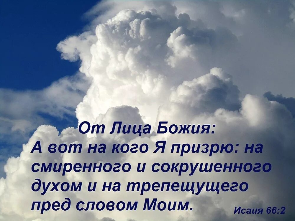 Сердце сокрушенно и смиренно бог не. Жертва богу дух сокрушенный. Дух сокрушенный и сердце смиренное. Сердце смиренно и сокрушенно бог не уничижит. Сердце смиренно и сокрушенно бог не уничижит.