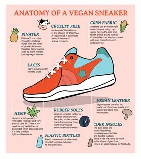 anatomy shoes sneakers - banglademy.net.