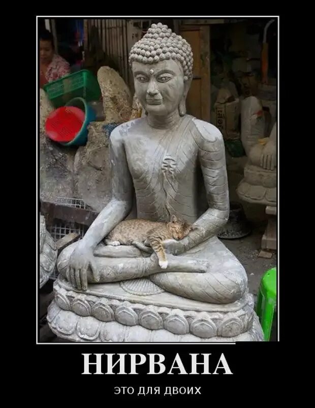 Смерть будды. Медведь в нирване. Впал в нирвану. Нирвана юмор. Дхьяна картина.
