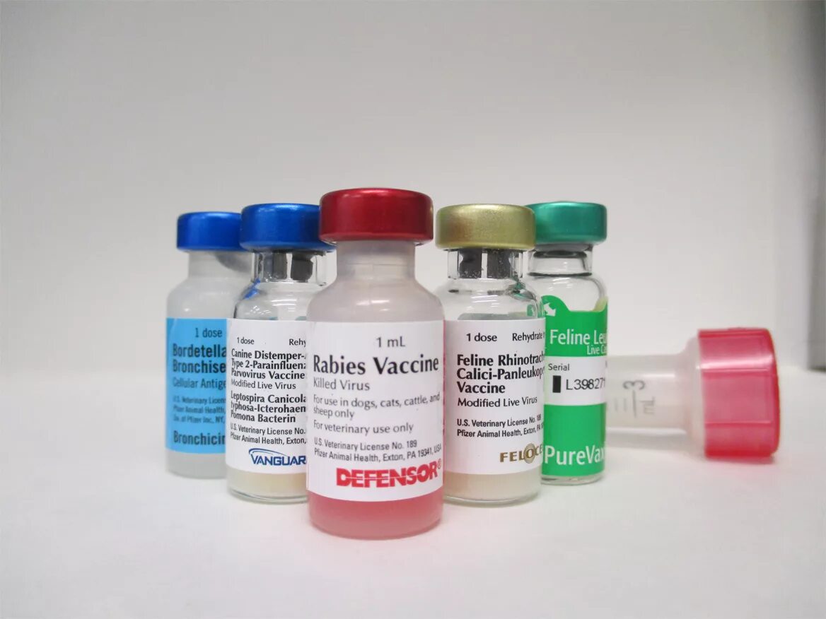 Чешская вакцина отзывы. Вакцина Вангард 5. Вакцина FVRCP. Вакцины от парвовируса. Rabies vaccine Zoetis.