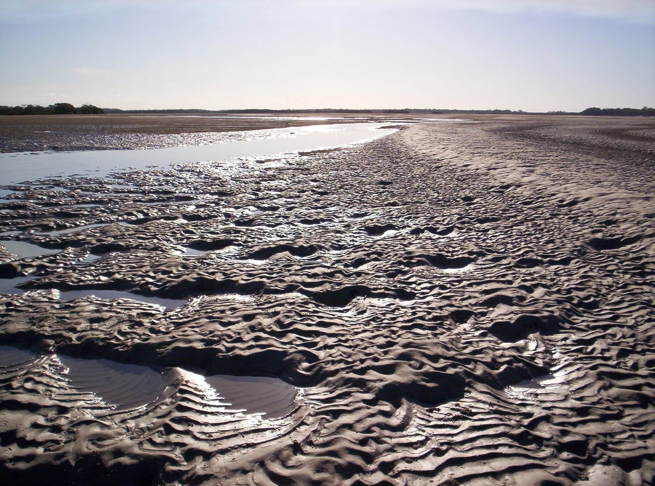 Отлив воды в океане. Илистый берег. Отлив морской. Илистый песок. Прилив воды.