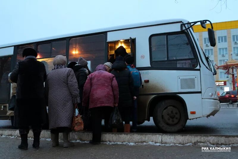 Общественный транспорт элиста. Маршрутки Элиста. Общественный транспорт в Калмыкии. Автобусы Калмыкии.