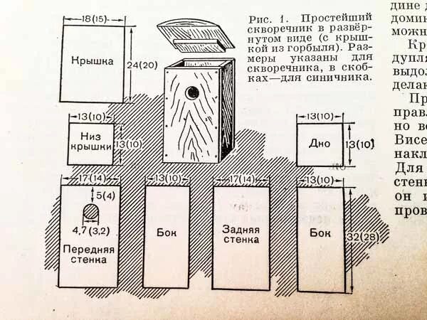 Какого размера должен быть скворечник. Скворечник для Скворцов чертеж. Чертежи скворечника и синичника. Чертёж скворечника с размерами. Размеры скворечника.
