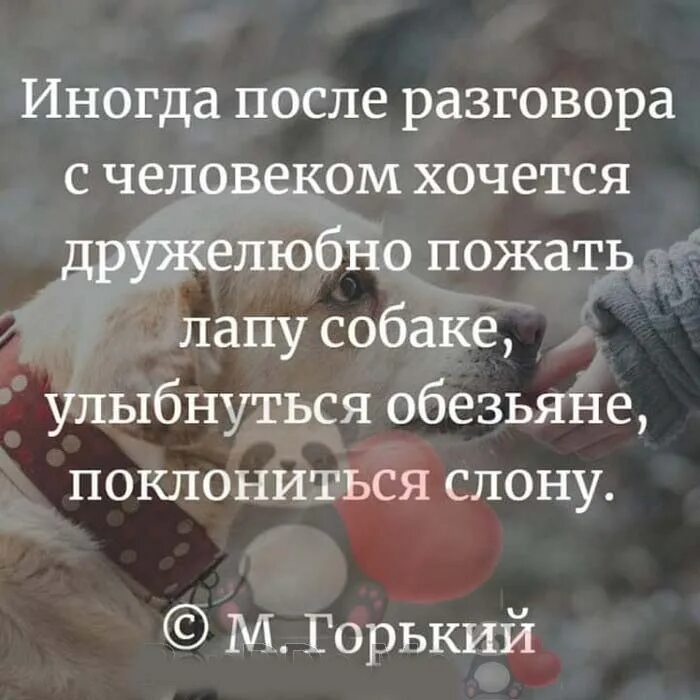 Его чувства после разговора. После разговора с некоторыми людьми хочется. после общения с людьми. иногда после разговора с человеком. иногда после разговора с человеком хочется дружелюбно.
