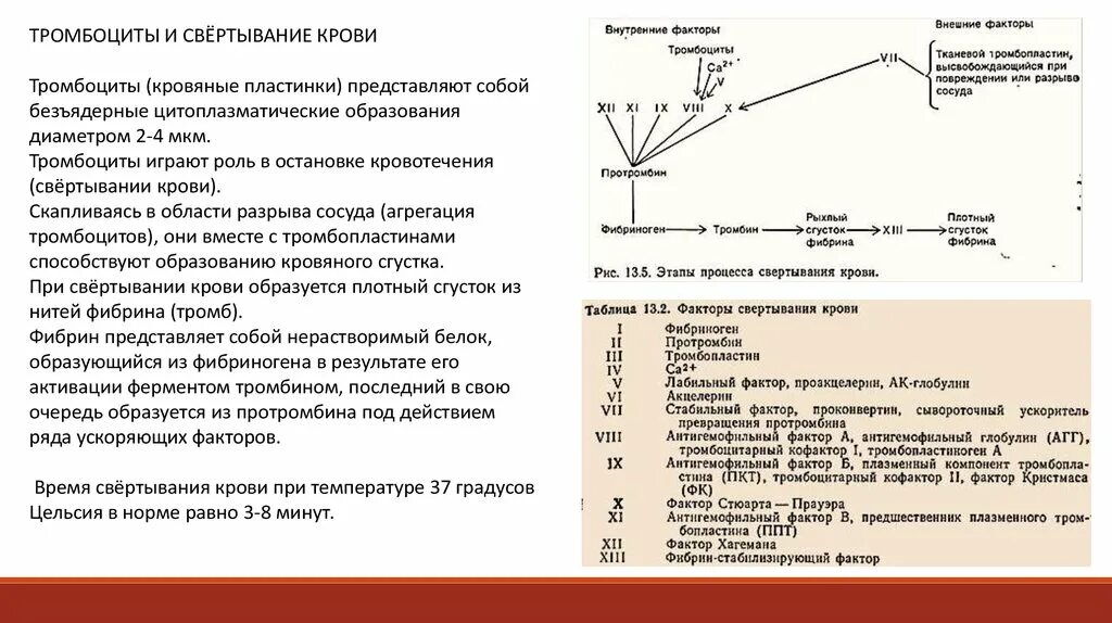 13 Факторов свертывания крови. Схема свертывания крови образование сгустка. Пдф фактор свертывания крови. 2 Плазменный фактор свертывания крови. Образование тромба попадание факторов свертывания в плазме