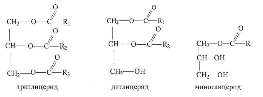 Строение триглицеридов